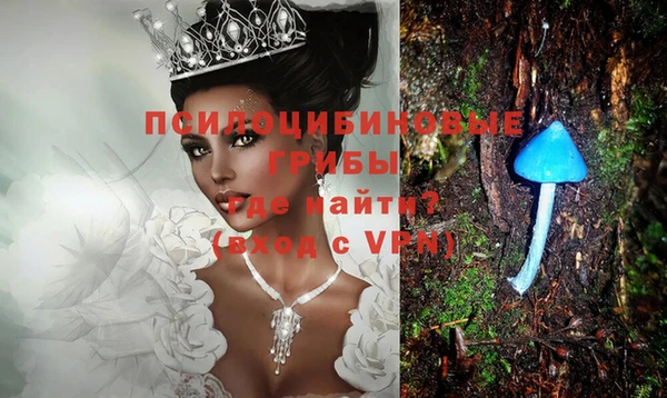 экстази Алексеевка