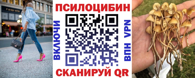 Псилоцибиновые грибы ЛСД  Закаменск 